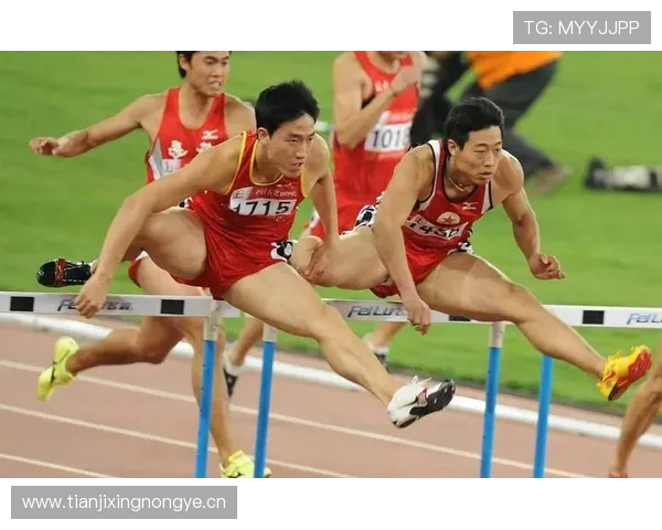 以跨栏战术配合为核心提升运动员栏间节奏与整体比赛协调能力的研究