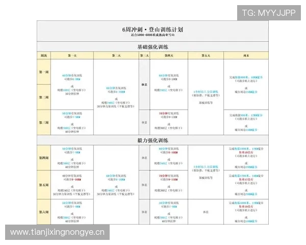 全面解析登山技巧与体能训练方法助你安全高效提升登山水平