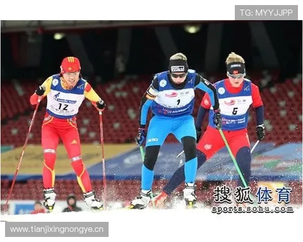 国际滑雪比赛中裁判判罚标准与评分规则的公平性与执行机制研究