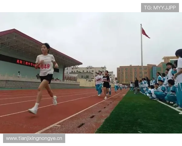 燃情赛道追风逐梦回顾田径史上那些震撼人心的经典时刻