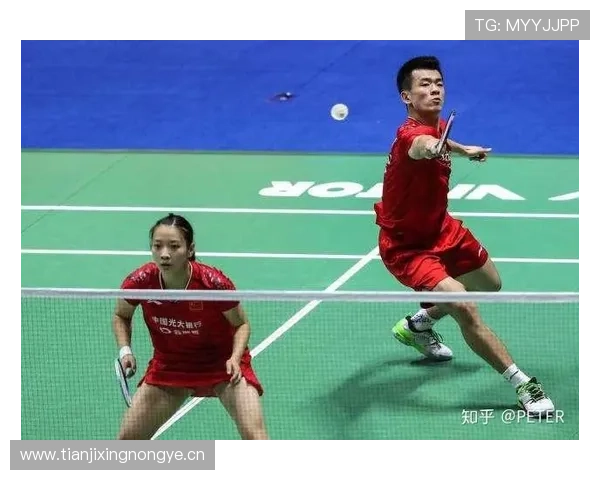 以羽毛球战术配合提升双打团队协同与攻防转化路径研究策略机制探讨 以羽毛球战术配合提升双打团队协同与攻防转化路径研究策略机制探讨