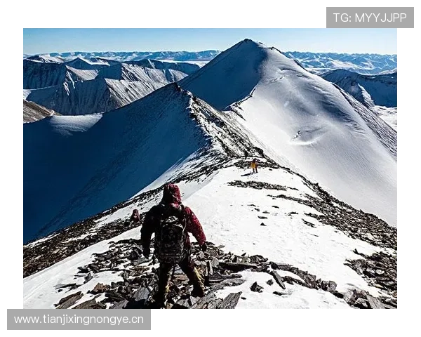 全面解析高山徒步安全与登山前后注意要点及应急准备全指南详解篇 全面解析高山徒步安全与登山前后注意要点及应急准备全指南详解篇