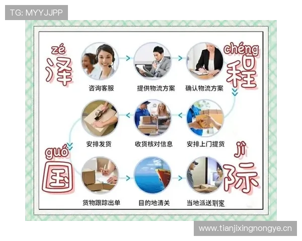 从零起步掌握皮划艇基础技巧与安全操作全流程指南实用训练方法与入门进阶解析