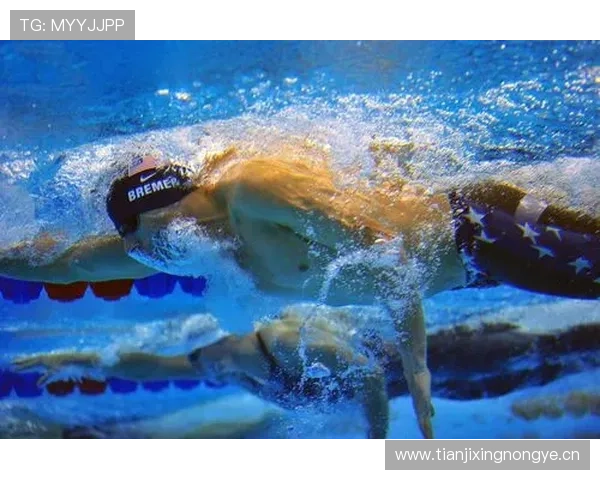 基于动作分解的竞技游泳全方位技术分析与系统化训练应用策略探讨