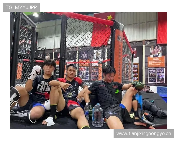 拳击赛场最新转会风云揭晓多位名将去向引热议改写格局联盟重塑版图